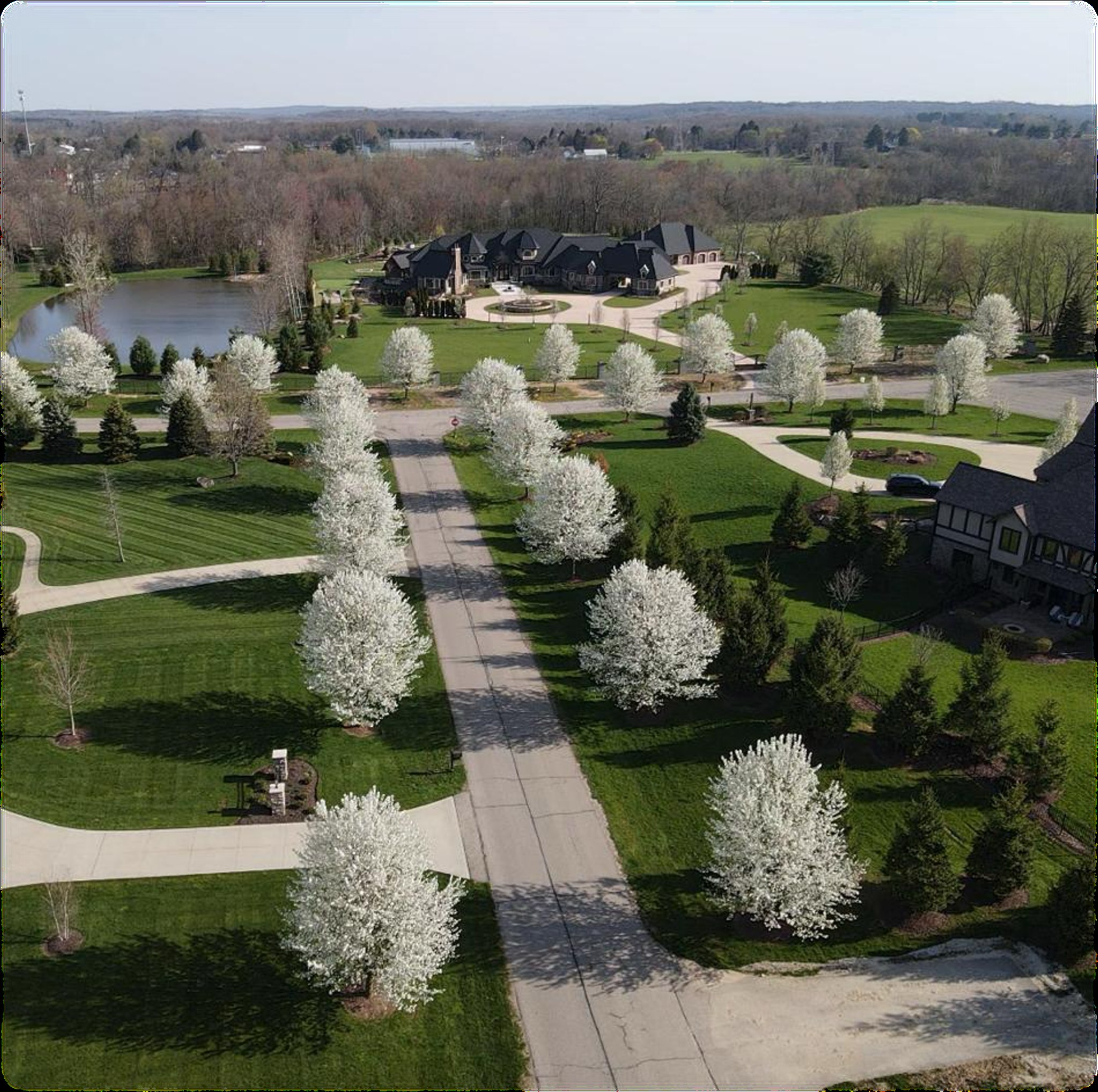 Tree-lined road and landscaped grounds at Sharon Falls
